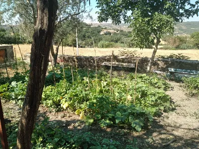 Rustico/Casale in vendita a Monterosso Alm... - foto 9
