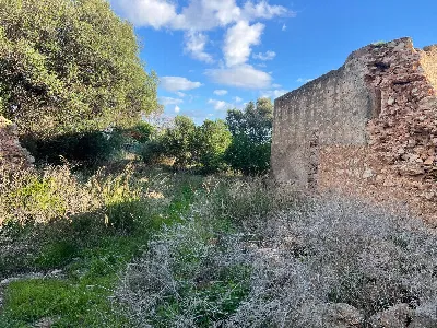 Rustico/Casale in vendita a Santa Croce Ca... - foto 9