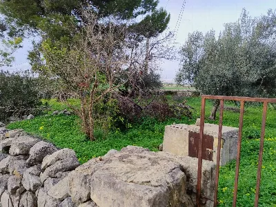 Rustico/Casale in vendita a Modica - foto 10