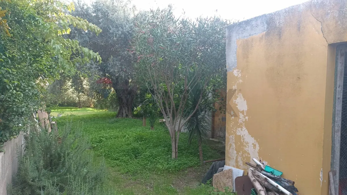 Rustico/Casale in vendita a Comiso - foto 4