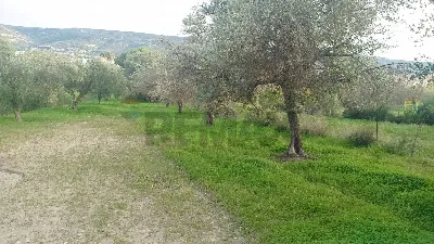 Rustico/Casale in vendita a Comiso - foto 8