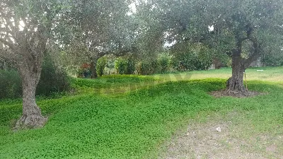 Rustico/Casale in vendita a Comiso - foto 9