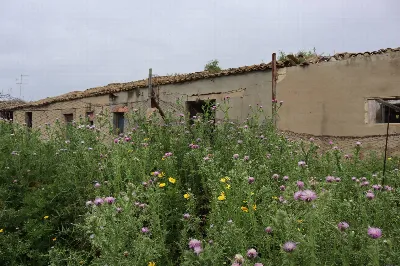 Rustico/Casale in vendita a Gela - foto 1