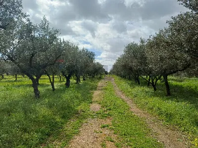 Villa in vendita a Chiaramonte Gulfi - foto 6