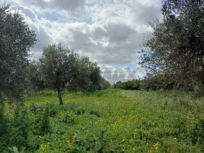 Villa in vendita a Chiaramonte Gulfi - foto 9