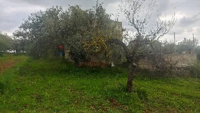 Rustico/Casale in vendita a Chiaramonte Gu... - foto 3