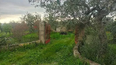 Rustico/Casale in vendita a Chiaramonte Gu... - foto 5