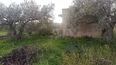 Rustico/Casale in vendita a Chiaramonte Gu... - foto 6