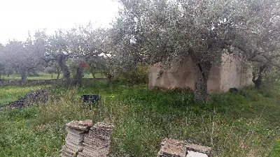 Rustico/Casale in vendita a Chiaramonte Gu... - foto 7