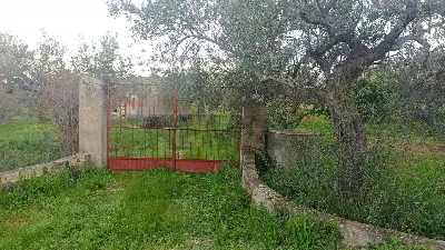 Rustico/Casale in vendita a Chiaramonte Gu... - foto 9
