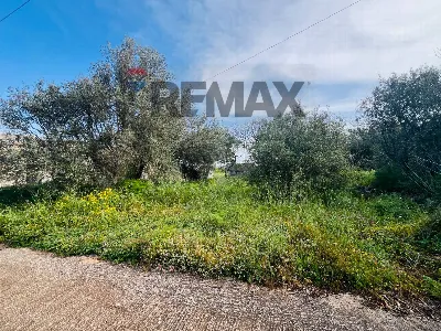 Rustico/Casale in vendita a Modica - foto 10