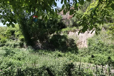 Rustico/Casale in vendita a Monterosso Alm... - foto 10