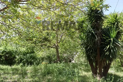 Rustico/Casale in vendita a Monterosso Alm... - foto 6