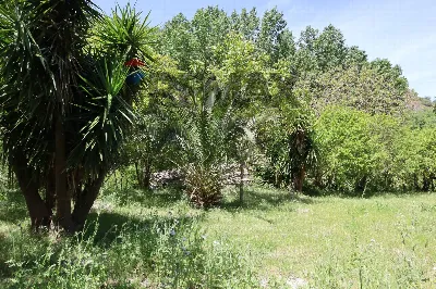 Rustico/Casale in vendita a Monterosso Alm... - foto 7