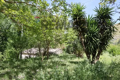 Rustico/Casale in vendita a Monterosso Alm... - foto 8