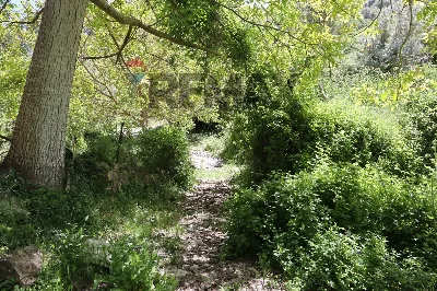 Rustico/Casale in vendita a Monterosso Alm... - foto 9