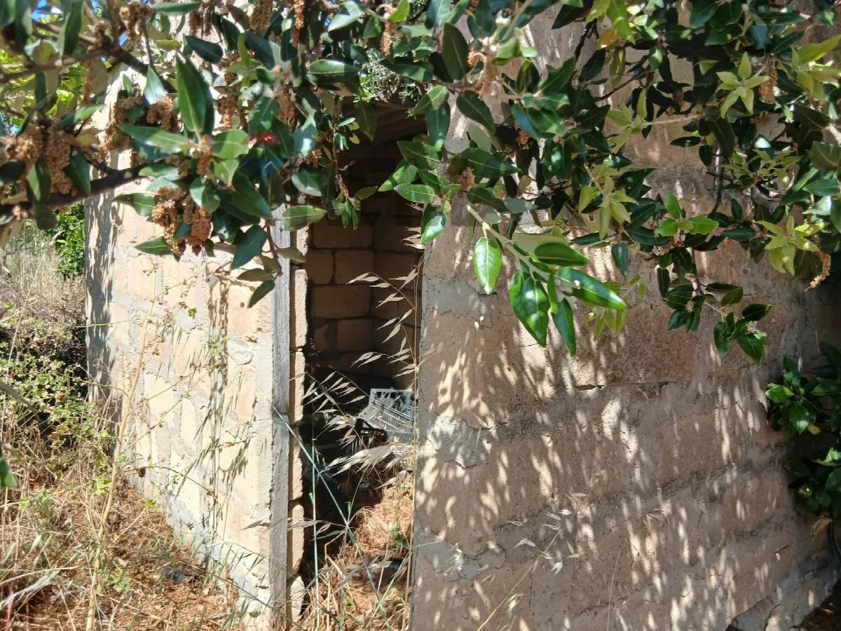 Rustico/Casale in vendita a Comiso - foto 5