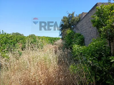 Rustico/Casale in vendita a Comiso - foto 9