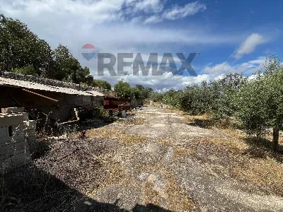 Rustico/Casale in vendita a Ragusa, Puntar... - foto 6