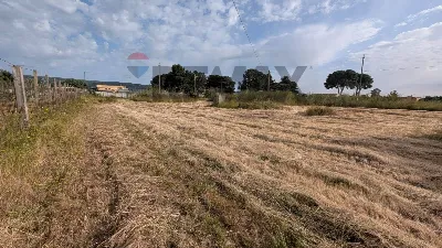 Rustico/Casale in vendita a Vittoria - foto 6