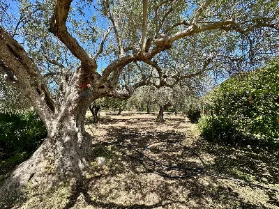 Villa in vendita a Chiaramonte Gulfi - foto 6