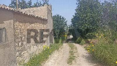Rustico/Casale in vendita a Chiaramonte Gu... - foto 9