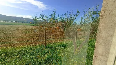 Villa in vendita a Comiso - foto 6