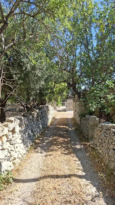 Rustico/Casale in vendita a Modica - foto 5