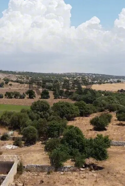 Rustico/Casale in vendita a Modica - foto 5