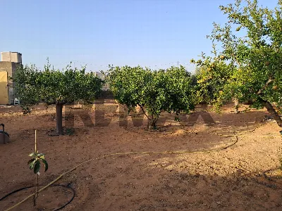 Villa in vendita a Ragusa, Puntarazzi, poz... - foto 2