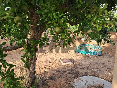 Villa in vendita a Ragusa, Puntarazzi, poz... - foto 5