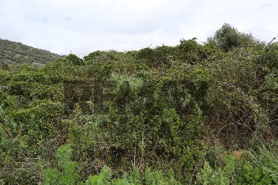 Rustico/Casale in vendita a Ragusa, Ibla, ... - foto 5