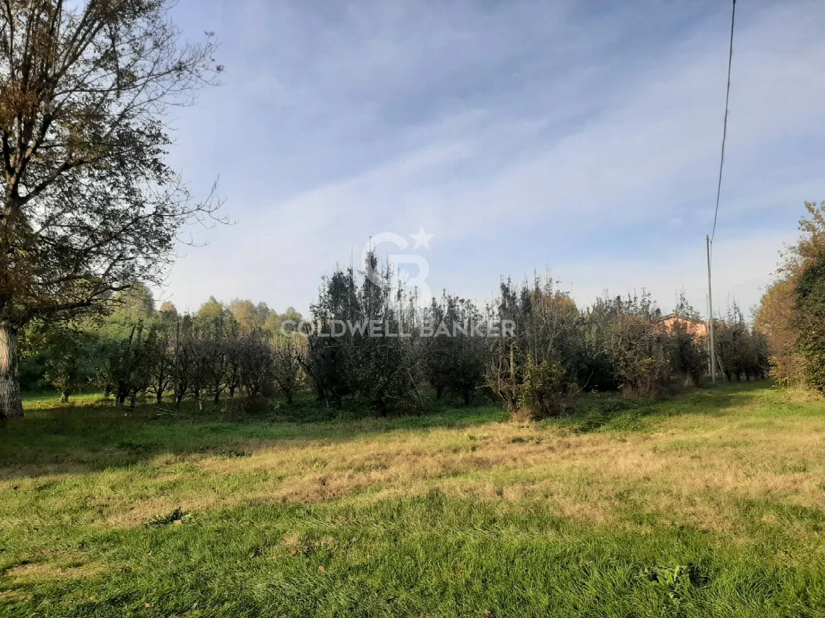 Villa in vendita a Nonantola - foto 3