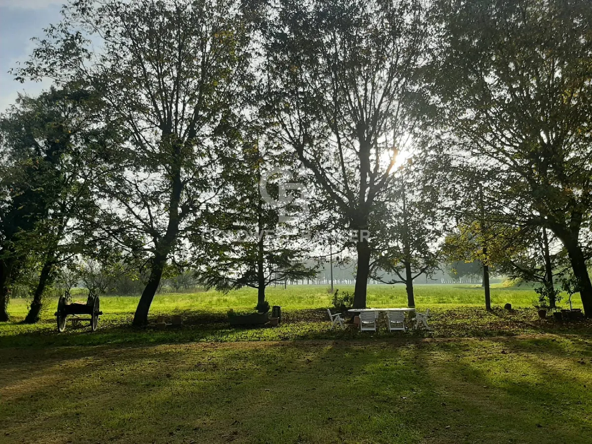 Villa in vendita a Nonantola - foto 5