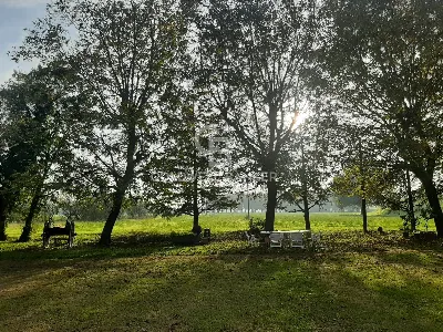 Villa in vendita a Nonantola - foto 5