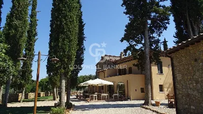 Rustico/Casale in vendita a San Gimignano - foto 4