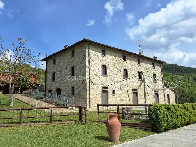 Rustico/Casale in vendita a Santa Sofia - foto 5