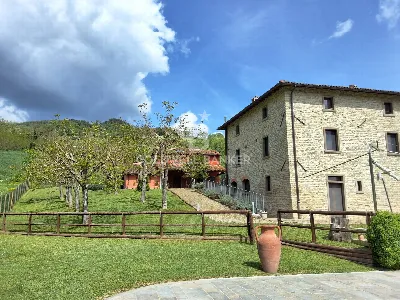 Rustico/Casale in vendita a Santa Sofia - foto 8