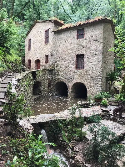 Rustico/Casale a Camaiore