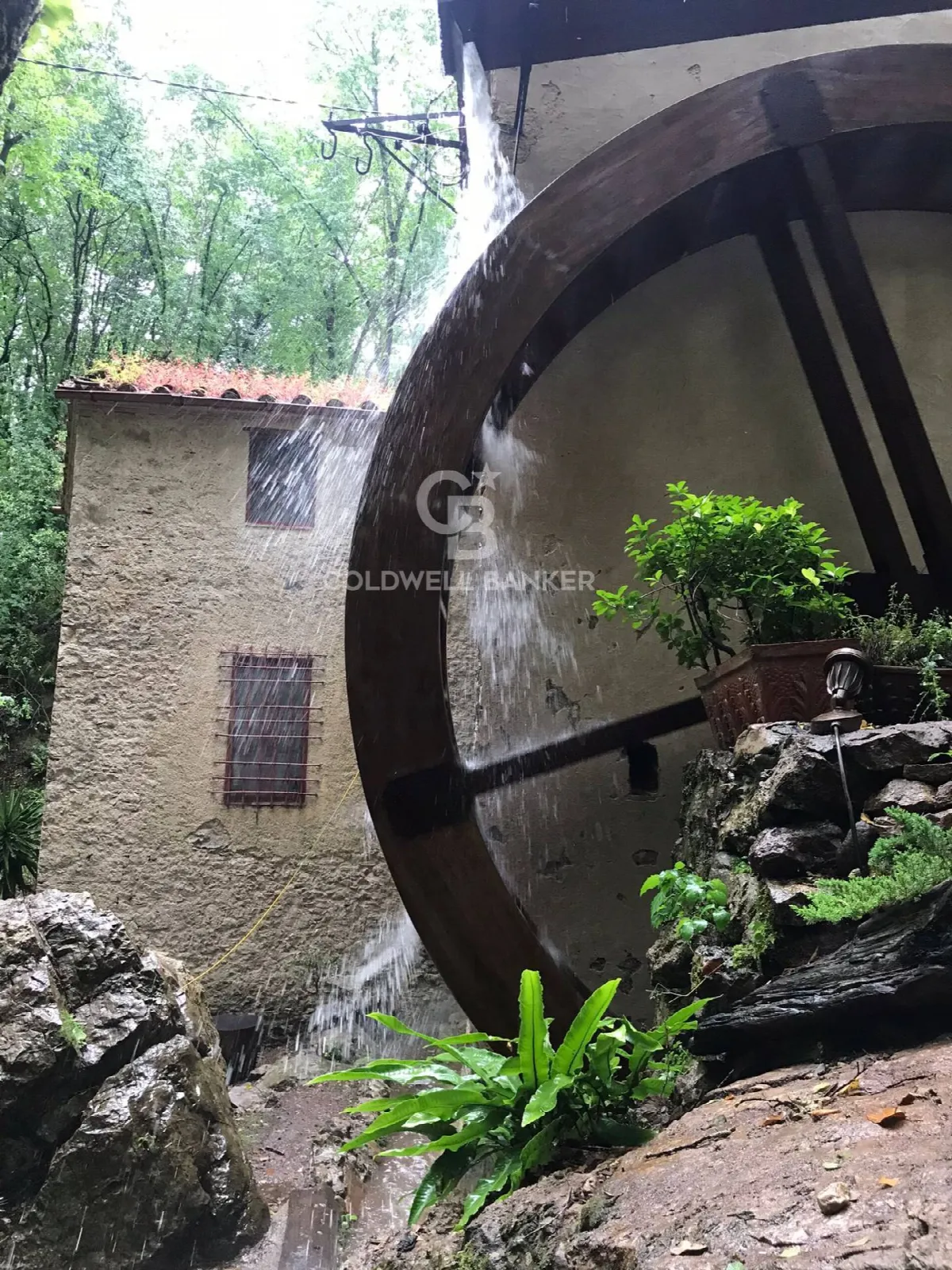 Rustico/Casale in vendita a Camaiore - foto 3