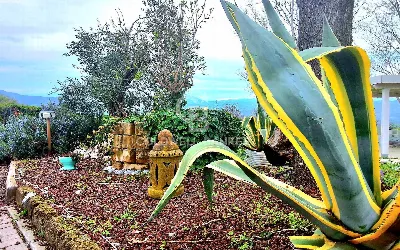 Villa in vendita a Prignano sulla Secchia - foto 6