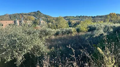 Rustico/Casale in vendita a Villamagna - foto 9