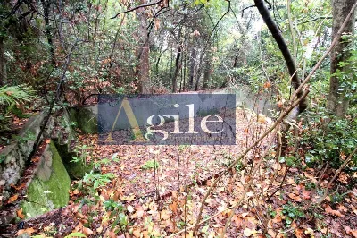 Villa in vendita a Colli del Tronto - foto 4