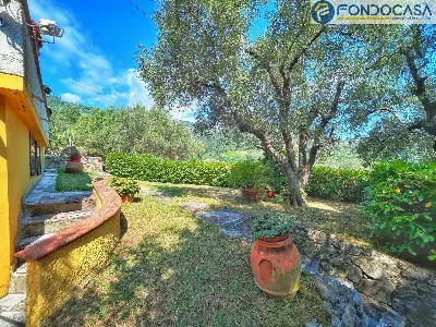 Villa in vendita a Pietrasanta - foto 4