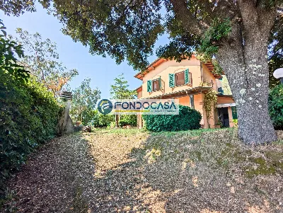 Villa in vendita a Pietrasanta - foto 5