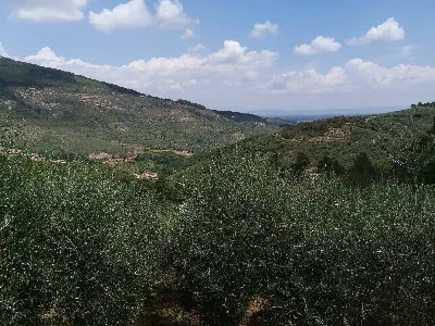 Villa in vendita a Buti - foto 7