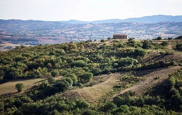 Villa in vendita a Collesalvetti - foto 4