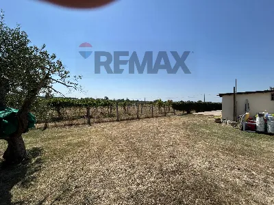 Casa Indipendente in vendita a Velletri - foto 7