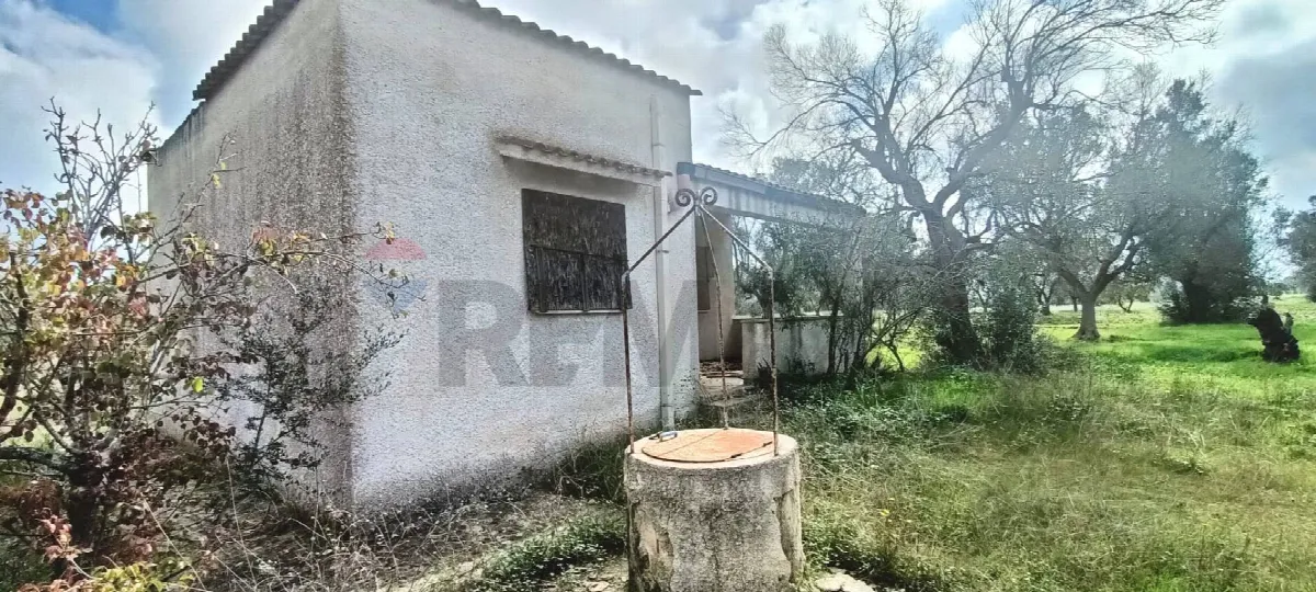 Villa in vendita a Brindisi, Mitrano, Litoranea, Montenegro - foto 3
