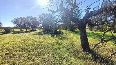 Villa in vendita a Brindisi, Mitrano, lito... - foto 6